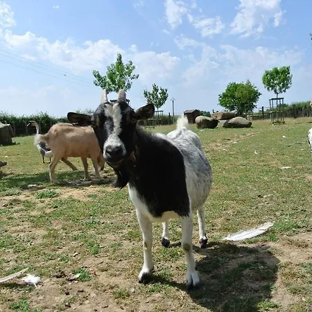 Chez Michel Et Josette Couette-café Le May-sur-Evre