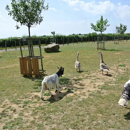 Chez Michel Et Josette Le May-sur-Evre