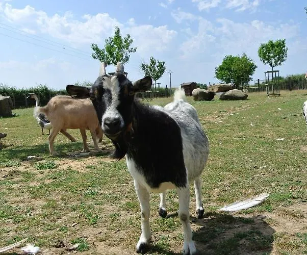 Chez Michel Et Josette Отель типа 