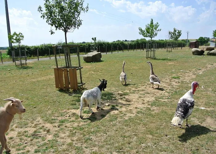 Chez Michel Et Josette Le May-sur-Evre